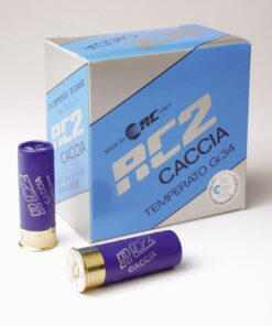 Alternative view of RC 2 Caccia