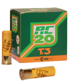 Alternative view of RC 20 T3