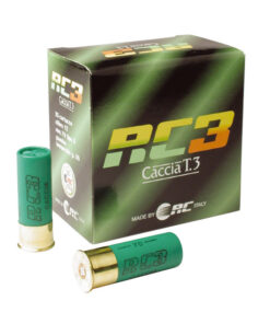 Alternative view of RC 3 Caccia